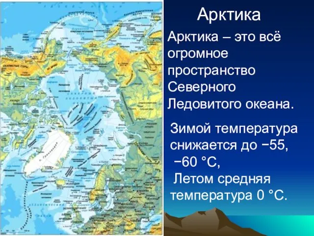 Арктика Арктика – это всё огромное пространство Северного Ледовитого океана. Зимой