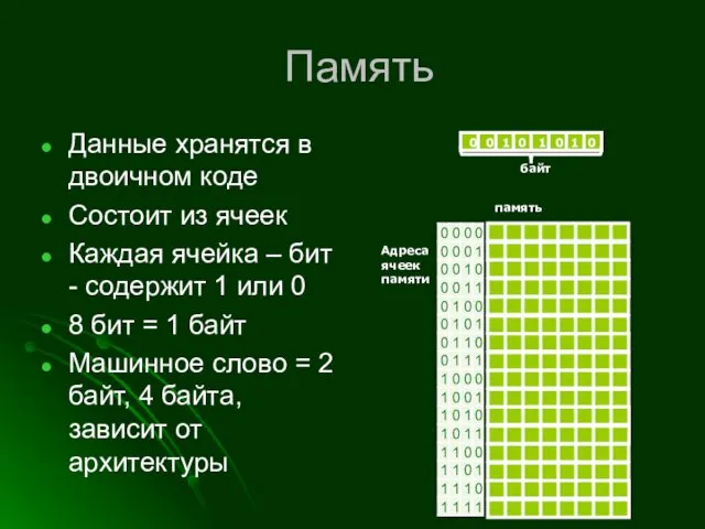 Память Данные хранятся в двоичном коде Состоит из ячеек Каждая ячейка