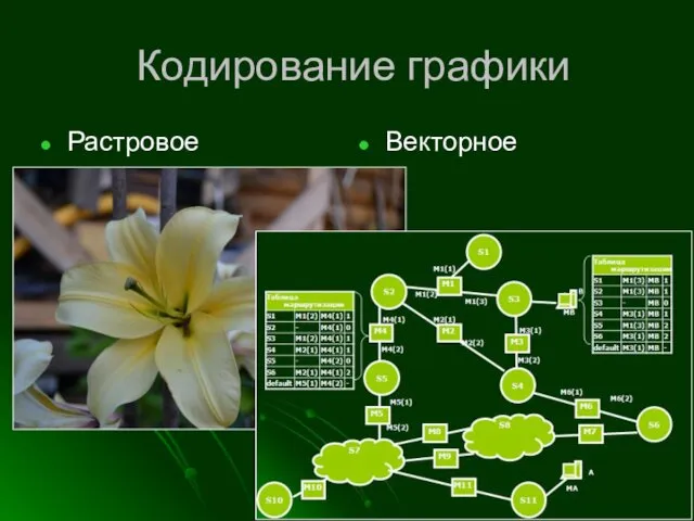 Кодирование графики Растровое Векторное