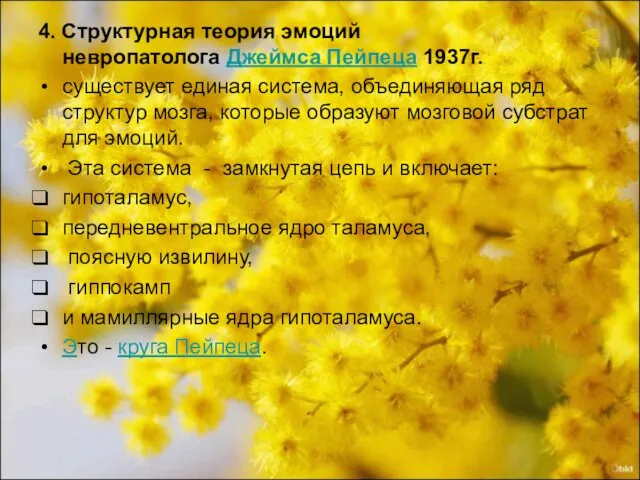 4. Структурная теория эмоций невропатолога Джеймса Пейпеца 1937г. существует единая система,