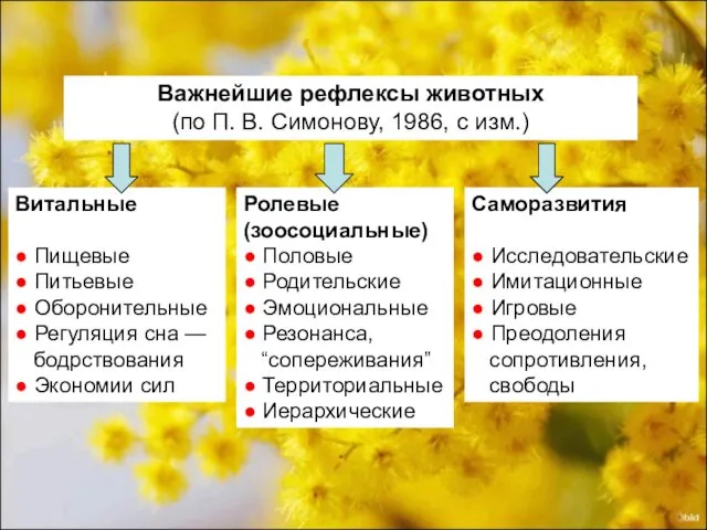 Витальные ● Пищевые ● Питьевые ● Оборонительные ● Регуляция сна —