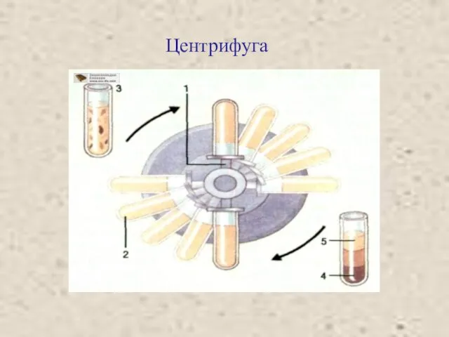 Центрифугa