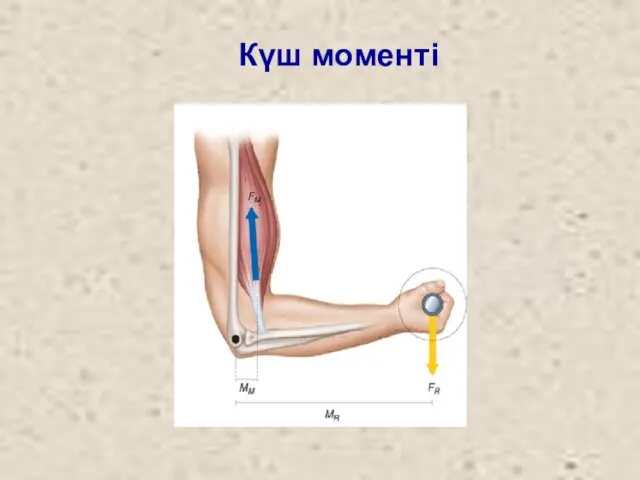 Күш моменті