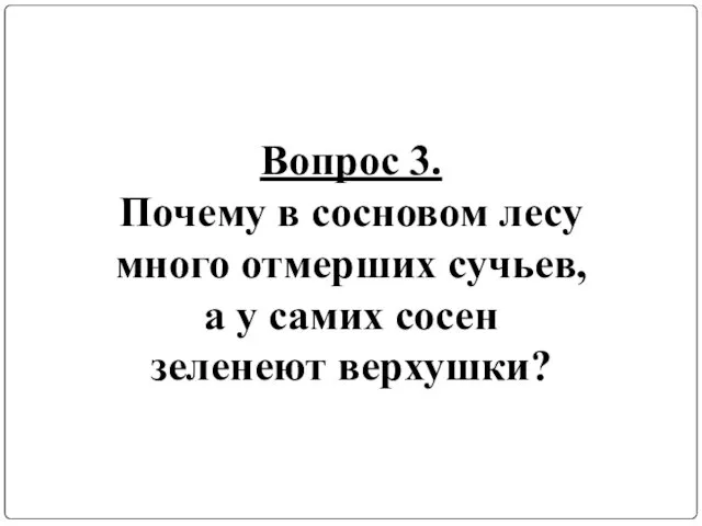 Вопрос 3. Почему в сосновом лесу много отмерших сучьев, а у самих сосен зеленеют верхушки?