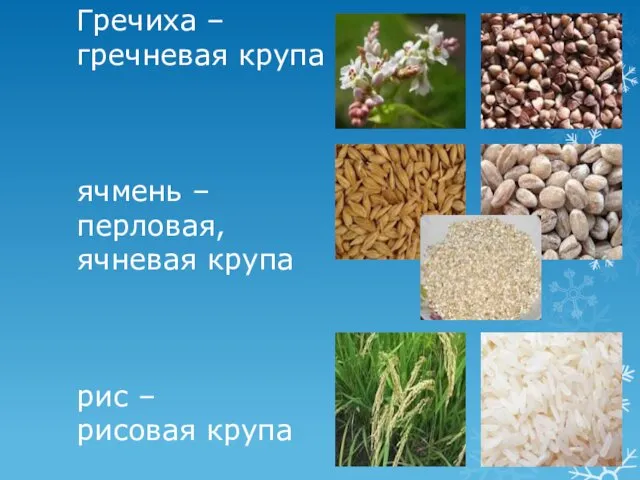 Гречиха – гречневая крупа ячмень – перловая, ячневая крупа рис – рисовая крупа