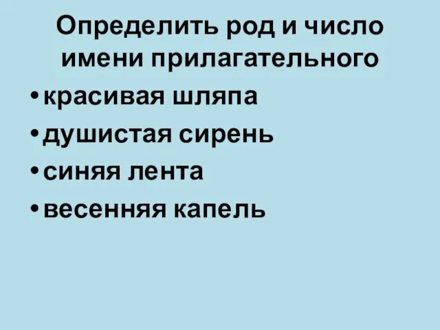 Определить род и число имени прилагательного красивая шляпа душистая сирень синяя лента весенняя капель