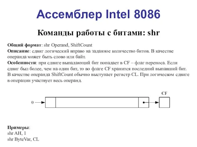 Ассемблер Intel 8086 Команды работы с битами: shr Общий формат: shr