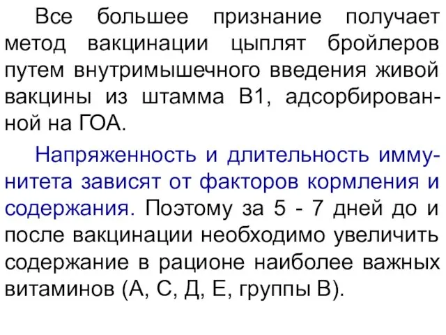 Все большее признание получает метод вакцинации цыплят бройлеров путем внутримышечного введения