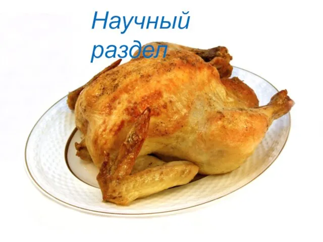 Научный раздел