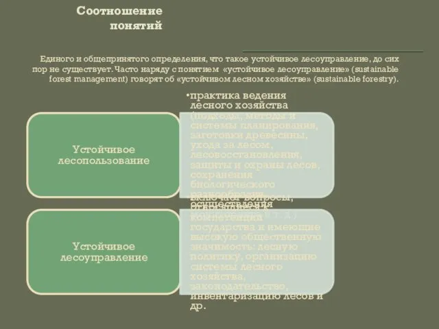 Соотношение понятий Единого и общепринятого определения, что такое устойчивое лесоуправление, до