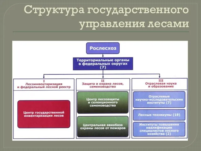 Структура государственного управления лесами