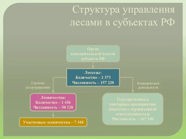 Орган исполнительной власти субъекта РФ Лесхозы: Количество – 2 373 Численность