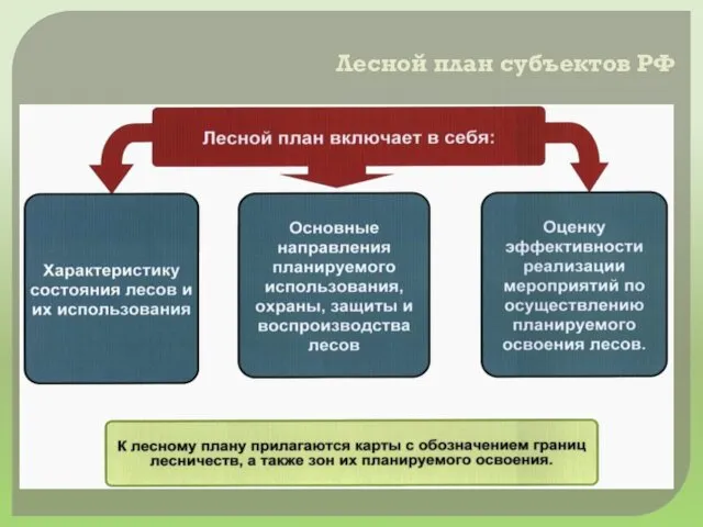 Лесной план субъектов РФ