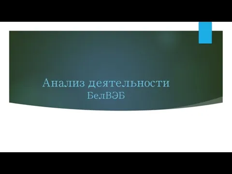 Анализ деятельности БелВЭБ