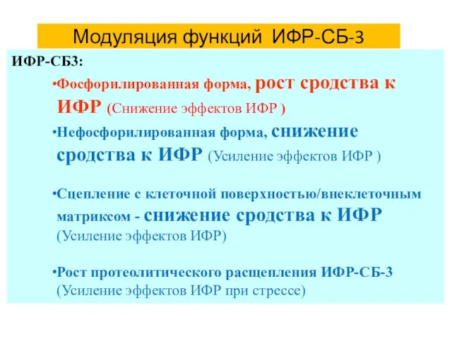 Модуляция функций ИФР-СБ-3 ИФР-СБ3: Фосфорилированная форма, рост сродства к ИФР (Снижение