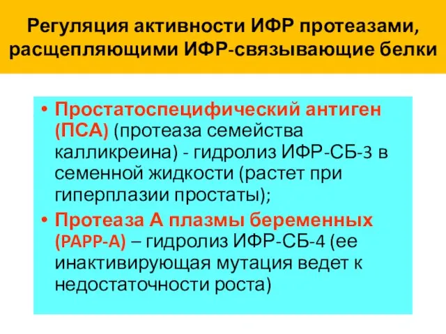 Регуляция активности ИФР протеазами, расщепляющими ИФР-связывающие белки Простатоспецифический антиген (ПСА) (протеаза