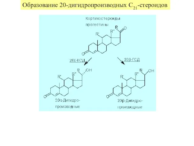 Образование 20-дигидропроизводных C21-стероидов