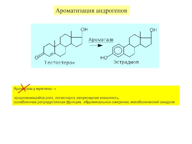 Ароматизация андрогенов Ароматаза у мужчины → продолжающийся рост, остеопороз, евнухоидная внешность,