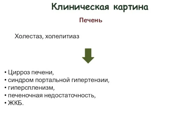 Клиническая картина Печень Холестаз, холелитиаз Цирроз печени, синдром портальной гипертензии, гиперспленизм, печеночная недостаточность, ЖКБ.