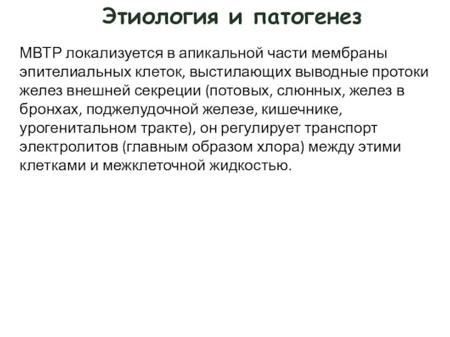 Этиология и патогенез МВТР локализуется в апикальной части мембраны эпителиальных клеток,