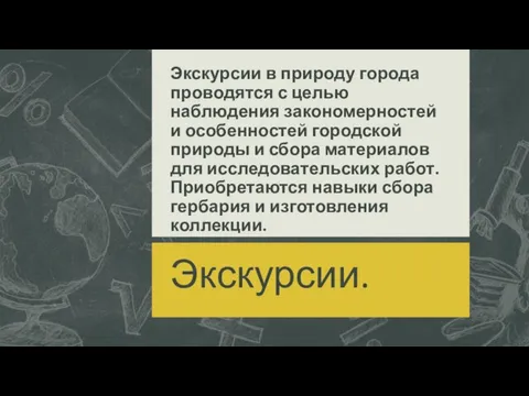 Экскурсии в природу города проводятся с целью наблюдения закономерностей и особенностей