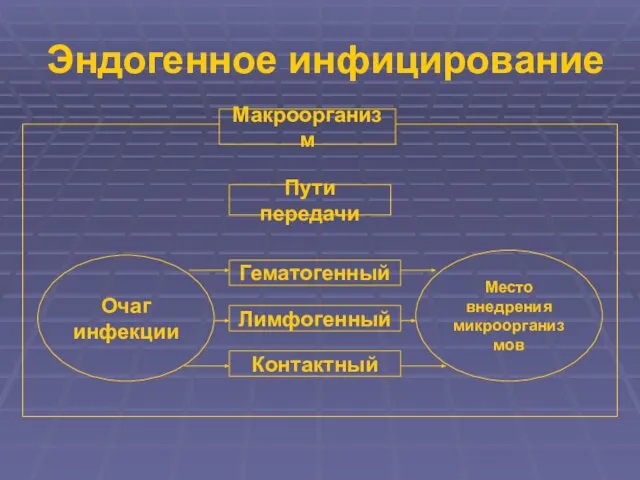 Эндогенное инфицирование Очаг инфекции Место внедрения микроорганизмов Макроорганизм Пути передачи Гематогенный Лимфогенный Контактный