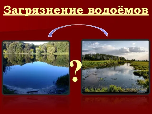 ? Загрязнение водоёмов