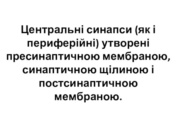 Центральні синапси (як і периферійні) утворені пресинаптичною мембраною, синаптичною щілиною і постсинаптичною мембраною.