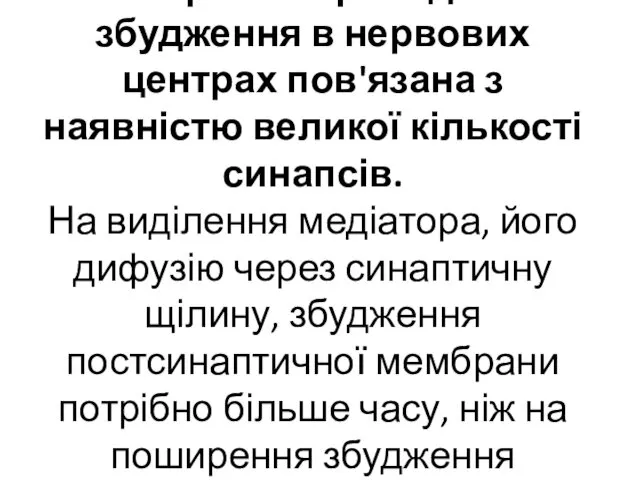 2. Затримка проведення збудження в нервових центрах пов'язана з наявністю великої