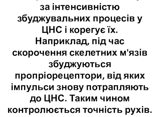 5. Зворотний зв’язок “слідкує” за інтенсивністю збуджувальних процесів у ЦНС і