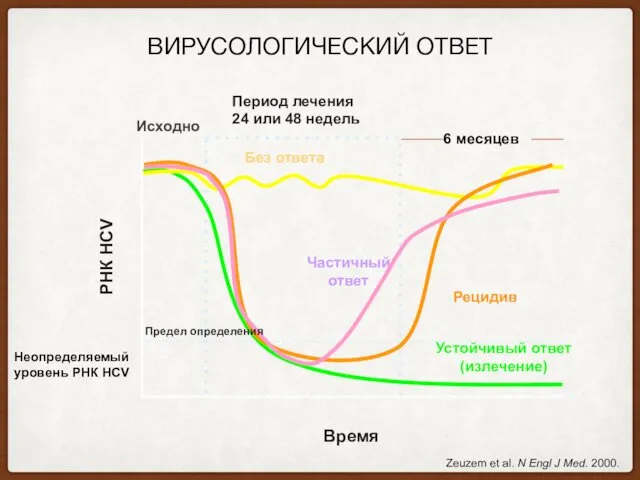 ВИРУСОЛОГИЧЕСКИЙ ОТВЕТ Устойчивый ответ(излечение) Без ответа Исходно Период лечения 24 или