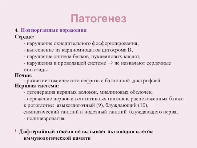 Патогенез 4. Полиорганные поражения Сердце: - нарушение окислительного фосфорилирования, - вытеснение