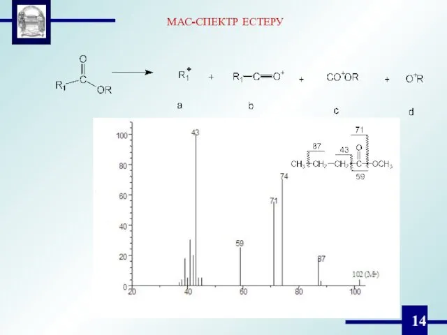 МАС-СПЕКТР ЕСТЕРУ +