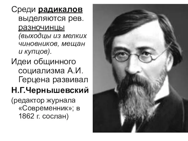 Среди радикалов выделяются рев. разночинцы (выходцы из мелких чиновников, мещан и