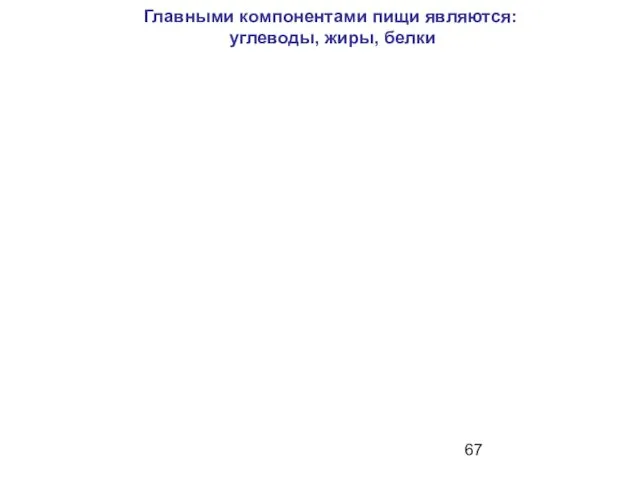 Главными компонентами пищи являются: углеводы, жиры, белки