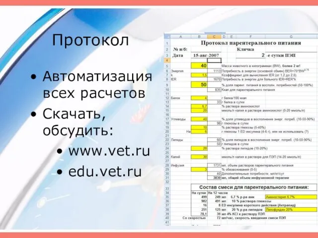 Протокол Автоматизация всех расчетов Скачать, обсудить: www.vet.ru edu.vet.ru