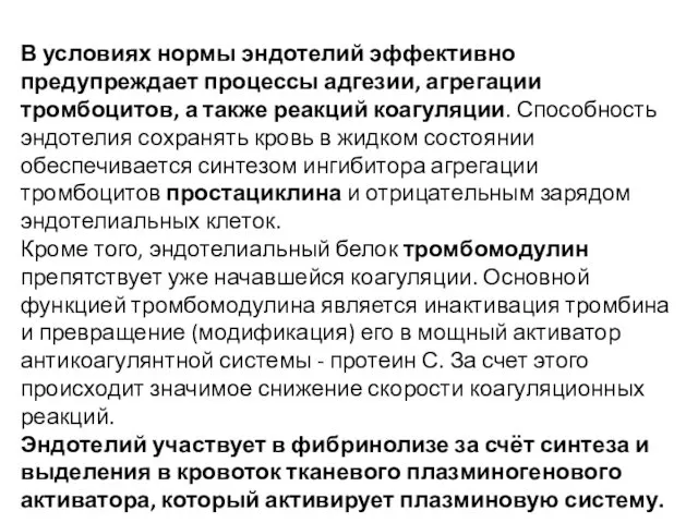 В условиях нормы эндотелий эффективно предупреждает процессы адгезии, агрегации тромбоцитов, а