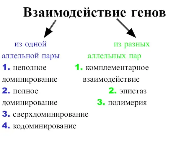 Взаимодействие генов из одной из разных аллельной пары аллельных пар 1.