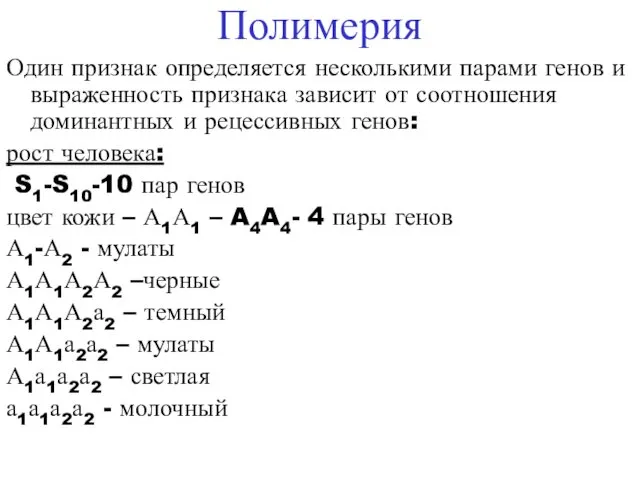 Полимерия Один признак определяется несколькими парами генов и выраженность признака зависит