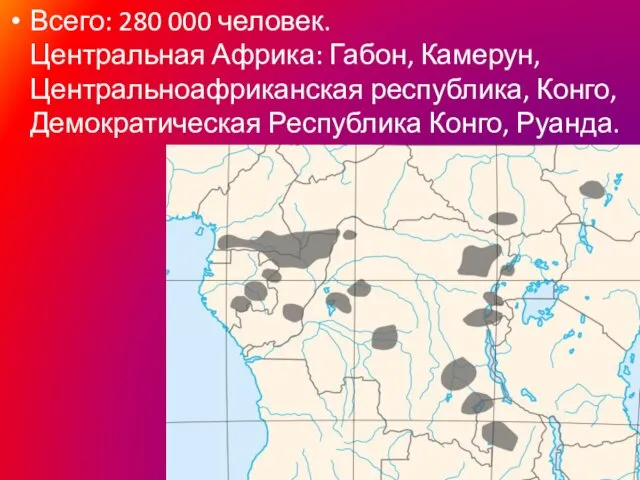 Всего: 280 000 человек. Центральная Африка: Габон, Камерун, Центральноафриканская республика, Конго, Демократическая Республика Конго, Руанда.