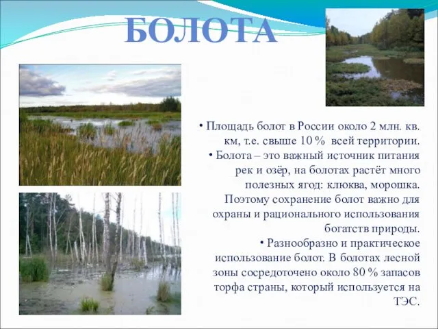 БОЛОТА Площадь болот в России около 2 млн. кв. км, т.е.