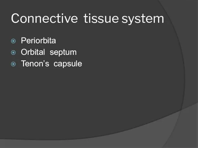 Connective tissue system Periorbita Orbital septum Tenon’s capsule