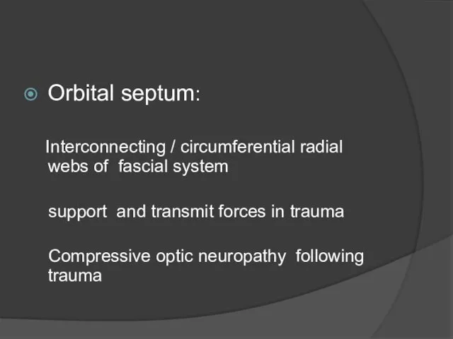 Orbital septum: Interconnecting / circumferential radial webs of fascial system support