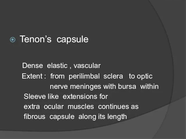 Tenon’s capsule Dense elastic , vascular Extent : from perilimbal sclera
