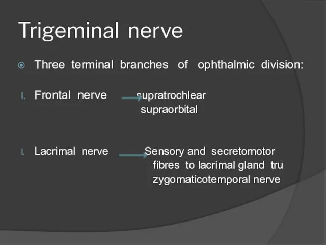 Trigeminal nerve Three terminal branches of ophthalmic division: Frontal nerve supratrochlear