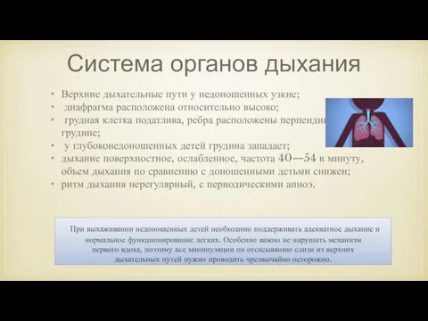 Система органов дыхания Верхние дыхательные пути у недоношенных узкие; диафрагма расположена