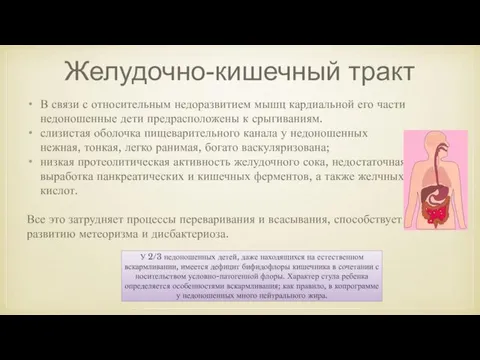 Желудочно-кишечный тракт В связи с относительным недоразвитием мышц кардиальной его части