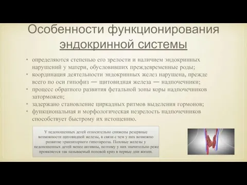 Особенности функционирования эндокринной системы определяются степенью его зрелости и наличием эндокринных