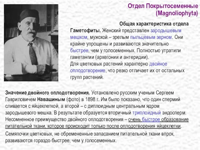 Отдел Покрытосеменные (Magnoliophyta) Значение двойного оплодотворения. Установлено русским ученым Сергеем Гавриловичем