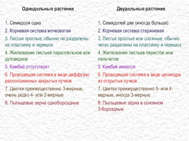 Однодольные растения 1. Семядоля одна 2. Корневая система мочковатая 3. Листья